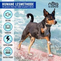 Nola & Coco® Oplaadbare Anti Blafband - 4 Kleuren - Zonder Schok - Waterdichte Diervriendelijke Blaf Halsband - Opvoedingshalsband - Voor Grote En Kleine Honden - Lichte Vibratie En Geluid - 3 Tot 60kg -Hondenspeelgoed Winkel 1200x1200 357