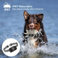 Salvano Anti Blafband - Blafband Voor Honden - Opvoedingshalsbanden - Voor Kleine En Grote Honden - Anti Blafband Zonder Schok- Oplaadbaar - Anti Blaf Apparaat - Blafband - Diervriendelijk -Hondenspeelgoed Winkel 1200x1200 367