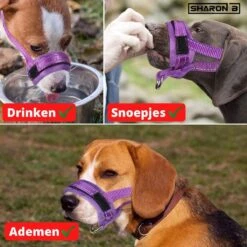 Sharon B Muilkorf Paars Maat M - Fleece - Wasbaar - Reflecterend -Hondenspeelgoed Winkel 1200x1200 370