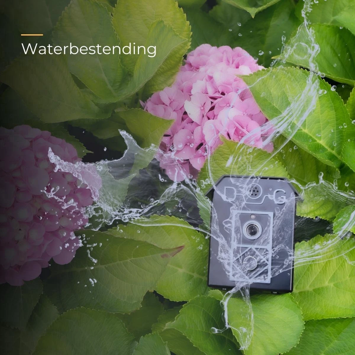 Merkloos Anti Blaf Apparaat Voor Honden - Alternatief Voor De Anti Blafband - Inclusief 9v Batterij & Nederlandse Handleiding - Diervriendelijk - Zonder Schok - Blafband Voor Honden - Zwart 6 Merkloos Anti Blaf Apparaat Voor Honden - Alternatief Voor De Anti Blafband - Inclusief 9v Batterij & Nederlandse Handleiding - Diervriendelijk - Zonder Schok - Blafband Voor Honden - Zwart - Afbeelding 4