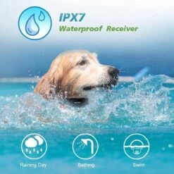 Anti Blafband EN Trainingshalsband In 1 - UNIEK Systeem - 500m Bereik - Trainingsband Opvoedband Waterdicht - Anti Blaf Apparaat - Teletac - Oplaadbaar - Volautomatisch - Grote & Kleine Hond -Hondenspeelgoed Winkel 1200x1200 376