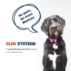 Anti Blafband - Blafband Voor Honden - Anti Blaf Apparaat - Blafband - Diervriendelijk & Zonder Schok -Hondenspeelgoed Winkel 1200x1200 389