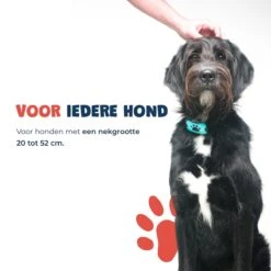 Anti Blafband - Blafband Voor Honden - Anti Blaf Apparaat - Blafband - Diervriendelijk & Zonder Schok -Hondenspeelgoed Winkel 1200x1200 391