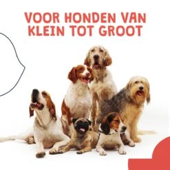 JC Pets Ultrasone Anti Blaf Apparaat Voor Kleine En Grote Honden - Oplaadbaar - Alternatief Anti Blafband Voor Honden - Diervriendelijk & Zonder Schok -Hondenspeelgoed Winkel 1200x1200 403