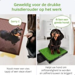 AWEMOZ Hondentoilet Kunstgras - Met 2 Matten En Opvangbak - 64x52x7,5cm - Puppy Pads - Zindelijkheidstraining Hond - Training Pads - Indoor / Outdoor Honden Toilet 15 AWEMOZ Hondentoilet Kunstgras - Met 2 Matten En Opvangbak - 64x52x7,5cm - Puppy Pads - Zindelijkheidstraining Hond - Training Pads - Indoor / Outdoor Honden Toilet -Hondenspeelgoed Winkel 1200x1200 415