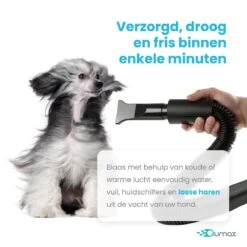 Qumax Professionele Hondenföhn Met 4 Opzetstukken – Waterblazer Voor Honden – Stil Design – Compact En Modern - Zwart -Hondenspeelgoed Winkel 1200x1200 43