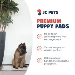 JC Pets Premium Puppy Training Pads - Hondentoilet - Zindelijkheidstraining Hond - 50 Stuks - 60 X 45 Cm -Hondenspeelgoed Winkel 1200x1200 438