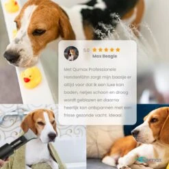 Qumax Professionele Hondenföhn Met 4 Opzetstukken – Waterblazer Voor Honden – Stil Design – Compact En Modern - Zwart -Hondenspeelgoed Winkel 1200x1200 44