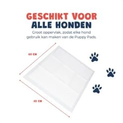 JC Pets Premium Puppy Training Pads - Hondentoilet - Zindelijkheidstraining Hond - 50 Stuks - 60 X 45 Cm -Hondenspeelgoed Winkel 1200x1200 440