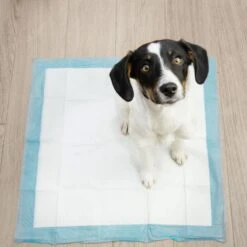 Springos Puppy Training Pads| Plasmatjes Hond | Zindelijkheidstraining | 10 Stuks | 35 X 45 Cm 19 Springos Puppy Training Pads| Plasmatjes Hond | Zindelijkheidstraining | 10 Stuks | 35 X 45 Cm -Hondenspeelgoed Winkel 1200x1200 443