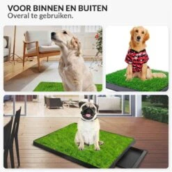 Merkloos Hondentoilet Kunstgras Met Bak - Indoor Dierentoilet - Uitneembare Opvangbak - Puppy Training Pets - Outdoor/Balkon/Tuin/Indoor Toilet - 50x64 Cm 17 Merkloos Hondentoilet Kunstgras Met Bak - Indoor Dierentoilet - Uitneembare Opvangbak - Puppy Training Pets - Outdoor/Balkon/Tuin/Indoor Toilet - 50x64 Cm -Hondenspeelgoed Winkel 1200x1200 449