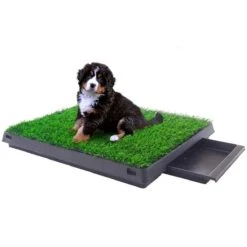 Merkloos Hondentoilet Kunstgras Met Bak - Indoor Dierentoilet - Uitneembare Opvangbak - Puppy Training Pets - Outdoor/Balkon/Tuin/Indoor Toilet - 50x64 Cm 19 Merkloos Hondentoilet Kunstgras Met Bak - Indoor Dierentoilet - Uitneembare Opvangbak - Puppy Training Pets - Outdoor/Balkon/Tuin/Indoor Toilet - 50x64 Cm -Hondenspeelgoed Winkel 1200x1200 451