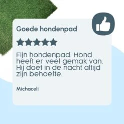 Merkloos Gtrise Hondentoilet Met 2 Matten - Out/Indoor - Zindelijkheidstraining Ebook - Dieren Wc 16 Merkloos Gtrise Hondentoilet Met 2 Matten - Out/Indoor - Zindelijkheidstraining Ebook - Dieren Wc -Hondenspeelgoed Winkel 1200x1200 454
