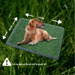 Merkloos Gtrise Hondentoilet Met 2 Matten - Out/Indoor - Zindelijkheidstraining Ebook - Dieren Wc 17 Merkloos Gtrise Hondentoilet Met 2 Matten - Out/Indoor - Zindelijkheidstraining Ebook - Dieren Wc -Hondenspeelgoed Winkel 1200x1200 455