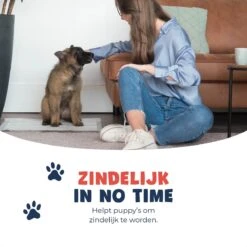 JC Pets Premium Puppy Training Pads - Hondentoilet - Zindelijkheidstraining Hond - 100 Stuks - 60 X 45 Cm 16 JC Pets Premium Puppy Training Pads - Hondentoilet - Zindelijkheidstraining Hond - 100 Stuks - 60 X 45 Cm -Hondenspeelgoed Winkel 1200x1200 472