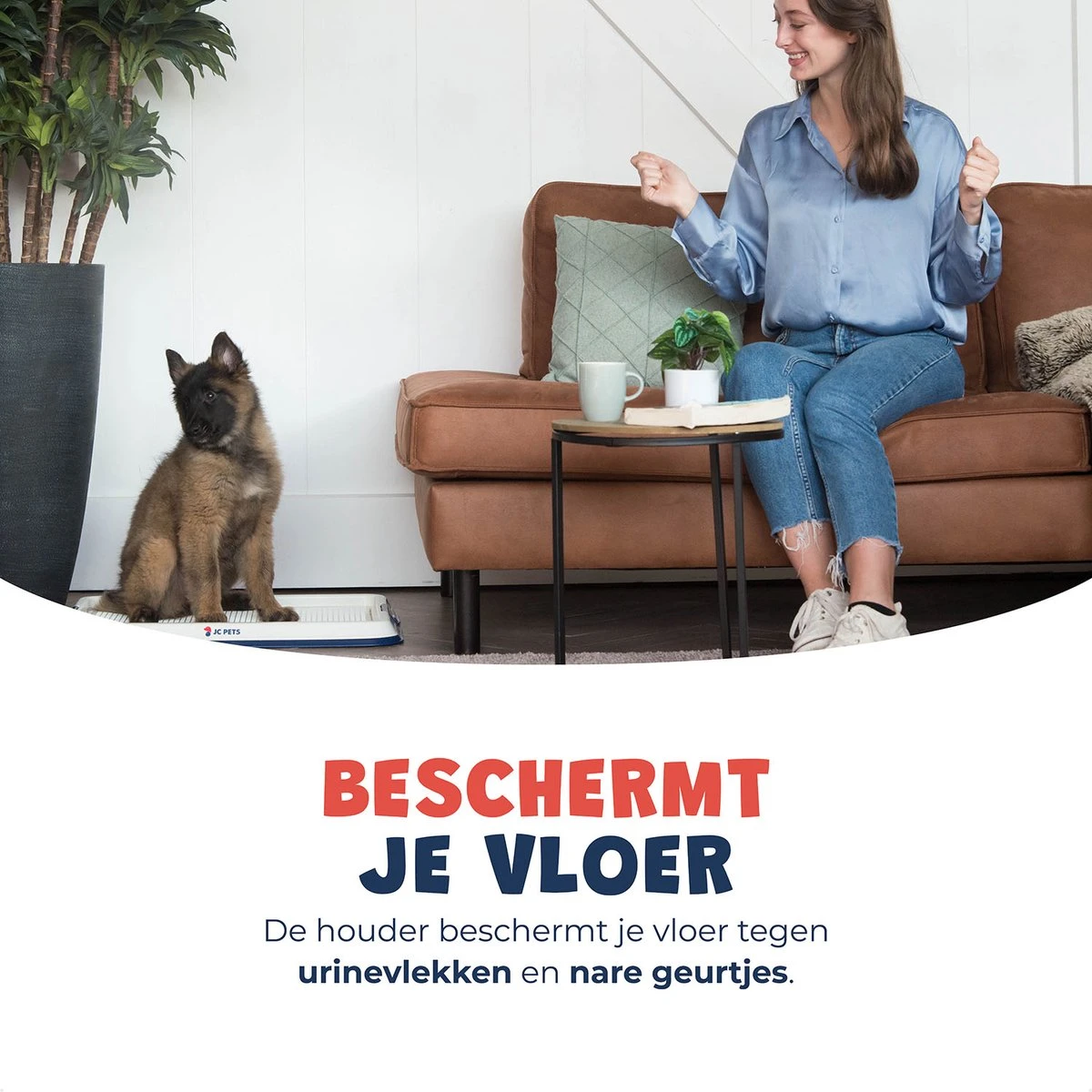 JC Pets Premium Pad Houder Met Rooster - Inclusief 20 Puppy Training Pads - Hondentoilet - Zindelijkheidstraining Hond 5 JC Pets Premium Pad Houder Met Rooster - Inclusief 20 Puppy Training Pads - Hondentoilet - Zindelijkheidstraining Hond - Afbeelding 3