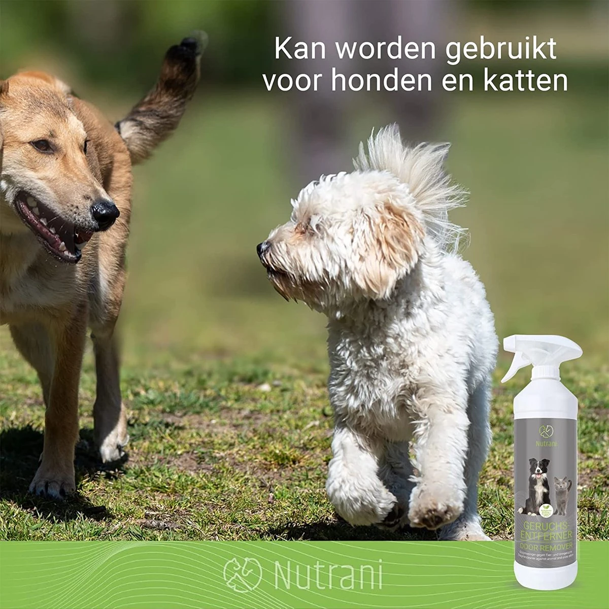 Nutrani Geurverwijderaar, 750 Ml, Natuurlijke Enzymreiniger Als Gebruiksklare Spray Met Biologische Werking, Verwijdert Geurtjes, Urine, Poep En Vlekken Van Honden En Katten 5 Nutrani Geurverwijderaar, 750 Ml, Natuurlijke Enzymreiniger Als Gebruiksklare Spray Met Biologische Werking, Verwijdert Geurtjes, Urine, Poep En Vlekken Van Honden En Katten - Afbeelding 3