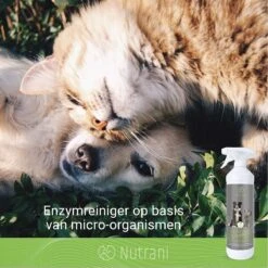 Nutrani Geurverwijderaar, 750 Ml, Natuurlijke Enzymreiniger Als Gebruiksklare Spray Met Biologische Werking, Verwijdert Geurtjes, Urine, Poep En Vlekken Van Honden En Katten 11 Nutrani Geurverwijderaar, 750 Ml, Natuurlijke Enzymreiniger Als Gebruiksklare Spray Met Biologische Werking, Verwijdert Geurtjes, Urine, Poep En Vlekken Van Honden En Katten -Hondenspeelgoed Winkel 1200x1200 500