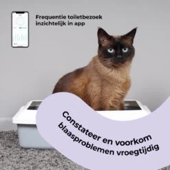 Pettadore Air Insight - Kattenbak Geurverdrijver & Teller - Actieve Zuurstof En Ionen - Oplaadbaar - Met App 20 Pettadore Air Insight - Kattenbak Geurverdrijver & Teller - Actieve Zuurstof En Ionen - Oplaadbaar - Met App -Hondenspeelgoed Winkel 1200x1200 507
