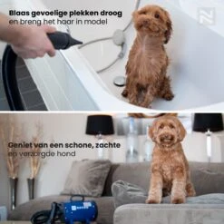 Nuvoo Professionele Hondenföhn / Waterblazer / Hondenborstel Met 3 Opzetstukken - Verstelbare Vermogen Tot 2200W - Warme / Koude Stand - Blauw 16 Nuvoo Professionele Hondenföhn / Waterblazer / Hondenborstel Met 3 Opzetstukken - Verstelbare Vermogen Tot 2200W - Warme / Koude Stand - Blauw -Hondenspeelgoed Winkel 1200x1200 51