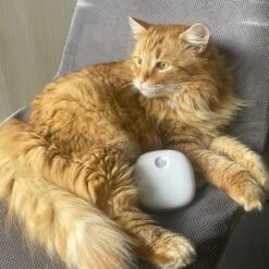 Pettadore Air Insight - Kattenbak Geurverdrijver & Teller - Actieve Zuurstof En Ionen - Oplaadbaar - Met App 28 Pettadore Air Insight - Kattenbak Geurverdrijver & Teller - Actieve Zuurstof En Ionen - Oplaadbaar - Met App -Hondenspeelgoed Winkel 1200x1200 515