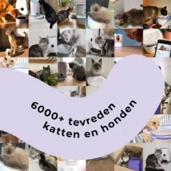 Pettadore Air Insight - Kattenbak Geurverdrijver & Teller - Actieve Zuurstof En Ionen - Oplaadbaar - Met App 29 Pettadore Air Insight - Kattenbak Geurverdrijver & Teller - Actieve Zuurstof En Ionen - Oplaadbaar - Met App -Hondenspeelgoed Winkel 1200x1200 516
