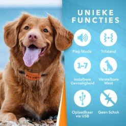 PET DOG® | Anti Blafband Voor Honden | 3 T/m 60 Kg | Oplaadbaar | Anti Blaf Band | Trainingsband | Vibratie En Geluid | Diervriendelijk | Shock Aan/uit Instelbaar -Hondenspeelgoed Winkel 1200x1200 518