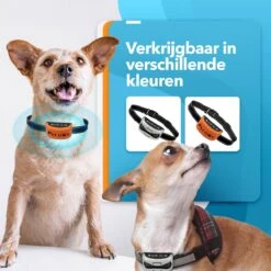 PET DOG® | Anti Blafband Voor Honden | 3 T/m 60 Kg | Oplaadbaar | Anti Blaf Band | Trainingsband | Vibratie En Geluid | Diervriendelijk | Shock Aan/uit Instelbaar -Hondenspeelgoed Winkel 1200x1200 522