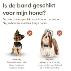Premium Anti Blafband Apparaat Om Je Hond Snel En Effectief Te Laten Stoppen Met Blaffen - Diervriendelijke Opvoedingshalsband Zonder Schok - Trainingshalsband Voor Grote En Kleine Honden - Anti Blaf Apparaat - Correctie Halsband -Hondenspeelgoed Winkel 1200x1200 565