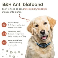Premium Anti Blafband Apparaat Om Je Hond Snel En Effectief Te Laten Stoppen Met Blaffen - Diervriendelijke Opvoedingshalsband Zonder Schok - Trainingshalsband Voor Grote En Kleine Honden - Anti Blaf Apparaat - Correctie Halsband -Hondenspeelgoed Winkel 1200x1200 567