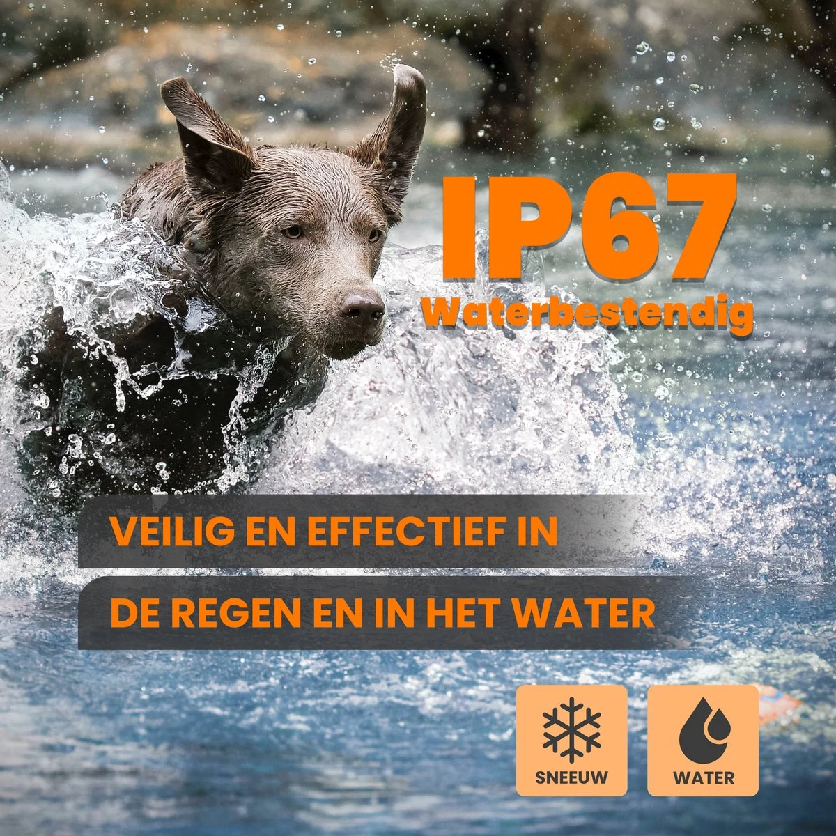 DOSCA® Anti Blafband - Anti Blaf Apparaat - Blafband Voor Honden - Zonder Schok En Diervriendelijk 8 DOSCA® Anti Blafband - Anti Blaf Apparaat - Blafband Voor Honden - Zonder Schok En Diervriendelijk - Afbeelding 6