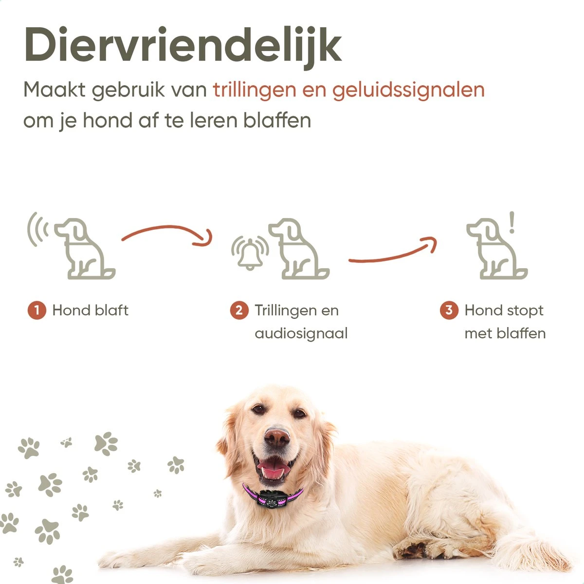Premium Anti Blafband Om Je Hond Snel En Effectief Te Laten Stoppen Met Blaffen - Diervriendelijke Opvoedingshalsband Zonder Schok - Trainingshalsband Voor Grote En Kleine Honden - Anti Blaf Apparaat - Correctie Halsband 4 Premium Anti Blafband Om Je Hond Snel En Effectief Te Laten Stoppen Met Blaffen - Diervriendelijke Opvoedingshalsband Zonder Schok - Trainingshalsband Voor Grote En Kleine Honden - Anti Blaf Apparaat - Correctie Halsband - Afbeelding 2