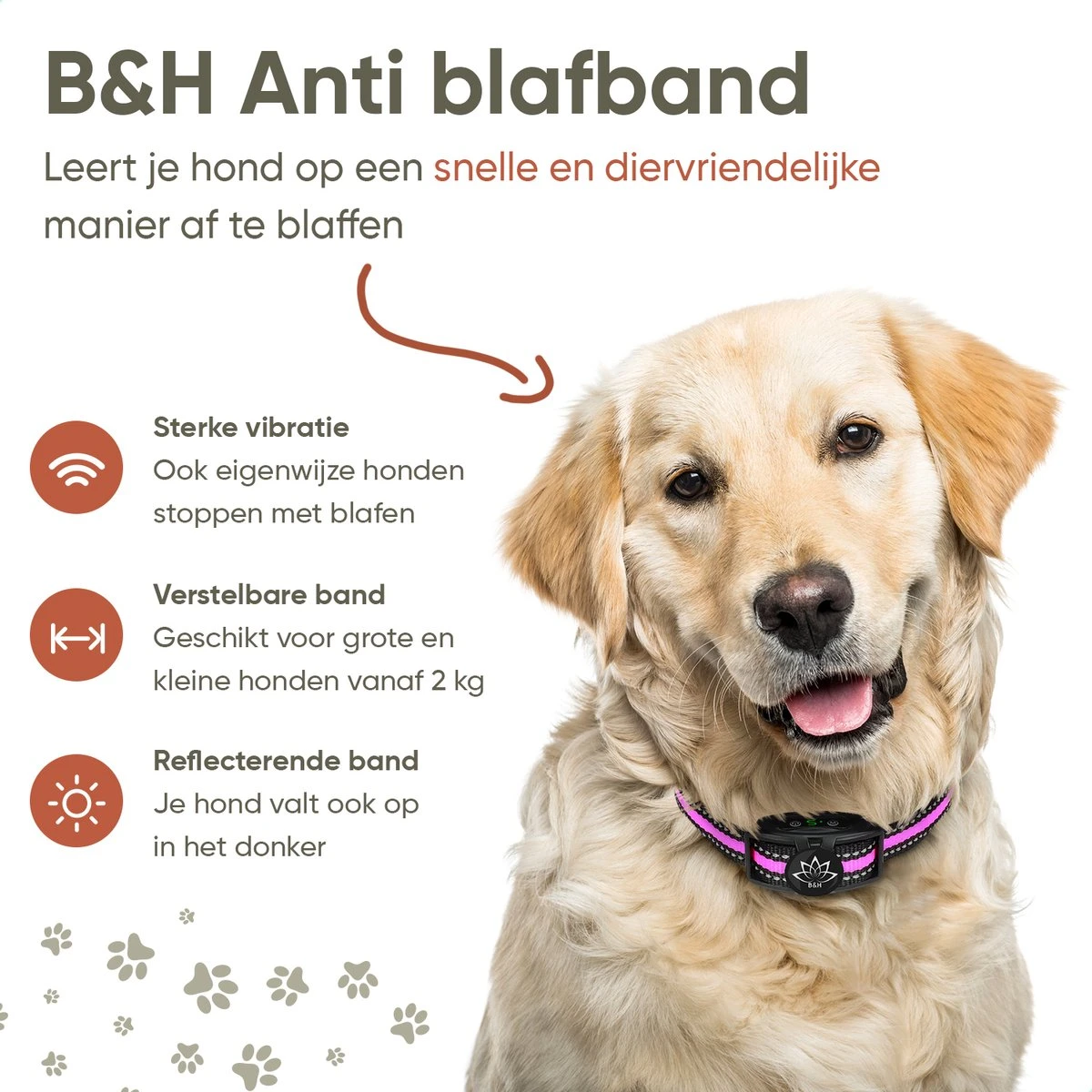 Premium Anti Blafband Om Je Hond Snel En Effectief Te Laten Stoppen Met Blaffen - Diervriendelijke Opvoedingshalsband Zonder Schok - Trainingshalsband Voor Grote En Kleine Honden - Anti Blaf Apparaat - Correctie Halsband 9 Premium Anti Blafband Om Je Hond Snel En Effectief Te Laten Stoppen Met Blaffen - Diervriendelijke Opvoedingshalsband Zonder Schok - Trainingshalsband Voor Grote En Kleine Honden - Anti Blaf Apparaat - Correctie Halsband - Afbeelding 7