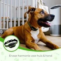 Petz - Anti Blafband - Anti Blafband Voor Kleine En Grote Honden - 5-55 KG - Vibratie En Audio - Diervriendelijk - GEEN Schokken - Opvoedingshalsband Zonder Schok En Diervriendelijk - Waterdicht - Oplaadbaar -Hondenspeelgoed Winkel 1200x1200 597