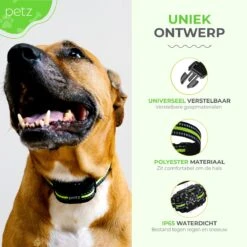 Petz - Anti Blafband - Anti Blafband Voor Kleine En Grote Honden - 5-55 KG - Vibratie En Audio - Diervriendelijk - GEEN Schokken - Opvoedingshalsband Zonder Schok En Diervriendelijk - Waterdicht - Oplaadbaar -Hondenspeelgoed Winkel 1200x1200 598