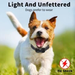 NIIYEBU Anti Blafband - Blafbanden Voor Honden - Anti Blaf Apparaat - Diervriendelijk - Zonder Schok - Vibratie En Audio -Hondenspeelgoed Winkel 1200x1200 604