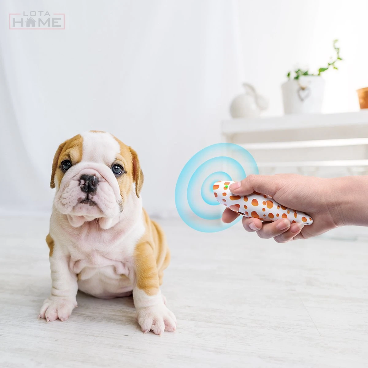 Merkloos LotaHome - Anti Blaf Apparaat - Hondentrainer Voor Binnen En Buiten - Bereik Tot 15 Meter - Diervriendelijk - Zonder Schok - Ultrasone - Voor Alle Honden - Inclusief Clicker 3 Merkloos LotaHome - Anti Blaf Apparaat - Hondentrainer Voor Binnen En Buiten - Bereik Tot 15 Meter - Diervriendelijk - Zonder Schok - Ultrasone - Voor Alle Honden - Inclusief Clicker