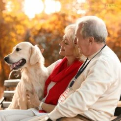 Merkloos LotaHome - Anti Blaf Apparaat - Hondentrainer Voor Binnen En Buiten - Bereik Tot 15 Meter - Diervriendelijk - Zonder Schok - Ultrasone - Voor Alle Honden - Inclusief Clicker 26 Merkloos LotaHome - Anti Blaf Apparaat - Hondentrainer Voor Binnen En Buiten - Bereik Tot 15 Meter - Diervriendelijk - Zonder Schok - Ultrasone - Voor Alle Honden - Inclusief Clicker -Hondenspeelgoed Winkel 1200x1200 611