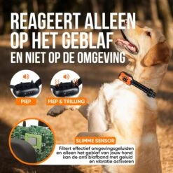 Strex Anti Blafband Voor Honden - 3-60KG - Oplaadbaar - Zonder Schok - Vibratie En Audio - Diervriendelijk - Anti Blaf Band - Anti Blaf Apparaat - Opvoedingshalsband Alle Honden 13 Strex Anti Blafband Voor Honden - 3-60KG - Oplaadbaar - Zonder Schok - Vibratie En Audio - Diervriendelijk - Anti Blaf Band - Anti Blaf Apparaat - Opvoedingshalsband Alle Honden -Hondenspeelgoed Winkel 1200x1200 616