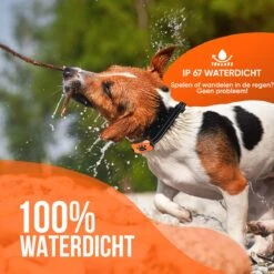 Strex Anti Blafband Voor Honden - 3-60KG - Oplaadbaar - Zonder Schok - Vibratie En Audio - Diervriendelijk - Anti Blaf Band - Anti Blaf Apparaat - Opvoedingshalsband Alle Honden 15 Strex Anti Blafband Voor Honden - 3-60KG - Oplaadbaar - Zonder Schok - Vibratie En Audio - Diervriendelijk - Anti Blaf Band - Anti Blaf Apparaat - Opvoedingshalsband Alle Honden -Hondenspeelgoed Winkel 1200x1200 618