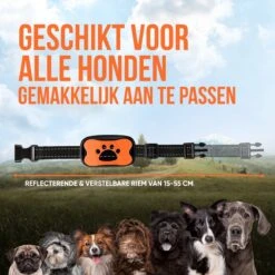 Strex Anti Blafband Voor Honden - 3-60KG - Oplaadbaar - Zonder Schok - Vibratie En Audio - Diervriendelijk - Anti Blaf Band - Anti Blaf Apparaat - Opvoedingshalsband Alle Honden 17 Strex Anti Blafband Voor Honden - 3-60KG - Oplaadbaar - Zonder Schok - Vibratie En Audio - Diervriendelijk - Anti Blaf Band - Anti Blaf Apparaat - Opvoedingshalsband Alle Honden -Hondenspeelgoed Winkel 1200x1200 620