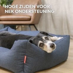 Snoozle Hondenmand - Zacht En Luxe Hondenkussen - Hondenbed - Wasbaar - Hondenmanden - 80 X 60cm 18 Snoozle Hondenmand - Zacht En Luxe Hondenkussen - Hondenbed - Wasbaar - Hondenmanden - 80 X 60cm -Hondenspeelgoed Winkel 1200x1200 630
