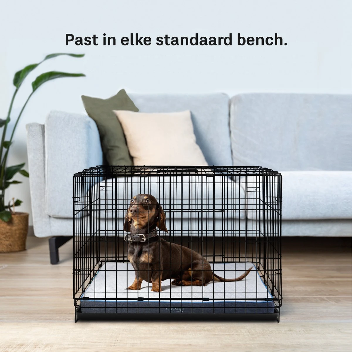 CozySense® - Orthopedisch Hondenkussen - Hondenkussen 60 X 40 Cm - Ook Geschikt Als Benchkussen & Hondenbed - Hondenkussen Bank - Traagschuim - Waterdicht - Wasbare Hoes - Maat S 7 CozySense® - Orthopedisch Hondenkussen - Hondenkussen 60 X 40 Cm - Ook Geschikt Als Benchkussen & Hondenbed - Hondenkussen Bank - Traagschuim - Waterdicht - Wasbare Hoes - Maat S - Afbeelding 5