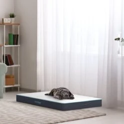 CozySense® - Orthopedisch Hondenkussen - Hondenkussen 60 X 40 Cm - Ook Geschikt Als Benchkussen & Hondenbed - Hondenkussen Bank - Traagschuim - Waterdicht - Wasbare Hoes - Maat S 15 CozySense® - Orthopedisch Hondenkussen - Hondenkussen 60 X 40 Cm - Ook Geschikt Als Benchkussen & Hondenbed - Hondenkussen Bank - Traagschuim - Waterdicht - Wasbare Hoes - Maat S -Hondenspeelgoed Winkel 1200x1200 636