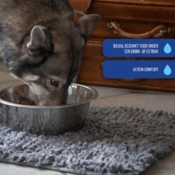 Royal Dry Absorberende Anti-knoeimat Voor Honden – Trekt Vuil Als Een Spons – Laat Geen Vocht Door – 61x45 Cm – Microfiber Chenille – Geschikt Voor Honden En Overige Huisdieren -Hondenspeelgoed Winkel 1200x1200 668