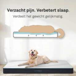 CozySense® - Orthopedisch Hondenkussen - Hondenkussen 90 X 55 Cm - Ook Geschikt Als Benchkussen & Hondenbed - Hondenkussen Bank - Traagschuim - Waterdicht - Wasbare Hoes - Maat L 12 CozySense® - Orthopedisch Hondenkussen - Hondenkussen 90 X 55 Cm - Ook Geschikt Als Benchkussen & Hondenbed - Hondenkussen Bank - Traagschuim - Waterdicht - Wasbare Hoes - Maat L -Hondenspeelgoed Winkel 1200x1200 681