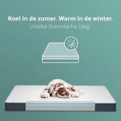 CozySense® - Orthopedisch Hondenkussen - Hondenkussen 90 X 55 Cm - Ook Geschikt Als Benchkussen & Hondenbed - Hondenkussen Bank - Traagschuim - Waterdicht - Wasbare Hoes - Maat L 13 CozySense® - Orthopedisch Hondenkussen - Hondenkussen 90 X 55 Cm - Ook Geschikt Als Benchkussen & Hondenbed - Hondenkussen Bank - Traagschuim - Waterdicht - Wasbare Hoes - Maat L -Hondenspeelgoed Winkel 1200x1200 682