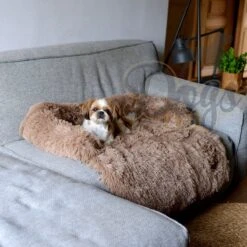 Dogs&Co Zachte Fluffy Hondenmat Voor Bank Maat L Khaki 120x90cm - Hondenmand -Hondenspeelgoed Winkel 1200x1200 695
