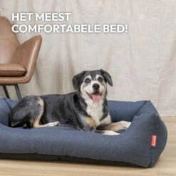 Snoozle Hondenmand - Zacht En Luxe Hondenkussen - Hondenbed - Wasbaar - Hondenmanden - 100 X 70cm 20 Snoozle Hondenmand - Zacht En Luxe Hondenkussen - Hondenbed - Wasbaar - Hondenmanden - 100 X 70cm -Hondenspeelgoed Winkel 1200x1200 698