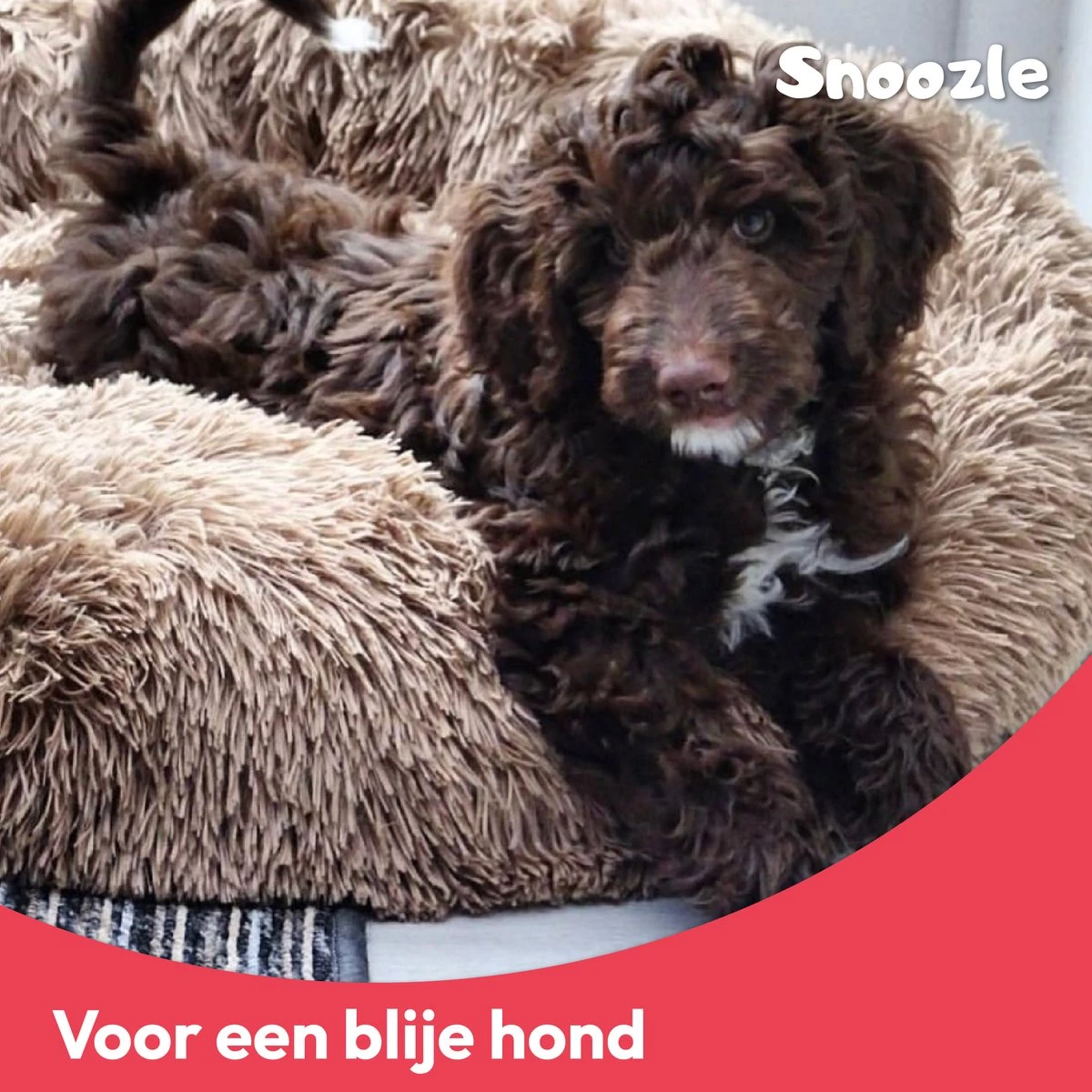 Snoozle Donut Hondenmand - Zacht En Luxe Hondenkussen - Wasbaar - Fluffy - Hondenmanden - 50cm - Grijs 11 Snoozle Donut Hondenmand - Zacht En Luxe Hondenkussen - Wasbaar - Fluffy - Hondenmanden - 50cm - Grijs - Afbeelding 9